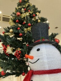 クリスマスツリーを飾りました！！