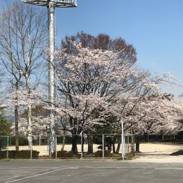 ご来場御礼