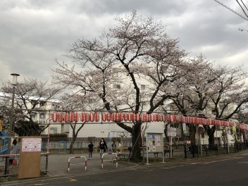 スズキの大決算ご来店お礼