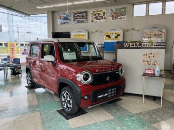 やってきました！！