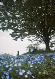 GW期間の休暇ありがとうございました
