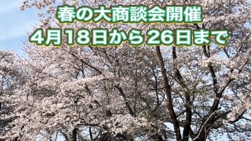 春の大商談会のご案内