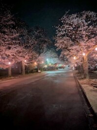 春風に心華やぐ