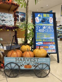 スズキの日開催中です！！