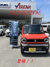 ハスラータフワイルド、でました