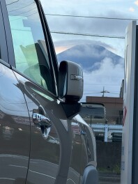 スズキの日あと１週間です！