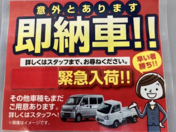 緊急入荷！即納車！！