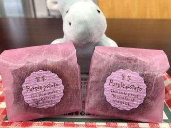 今週末のイベントのご案内