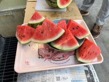夏ですね♪