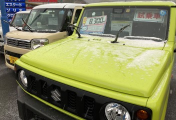 暴風雪、お気を付けください