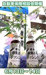 保険相談会のご案内