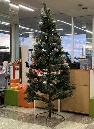 おすすめ中古車