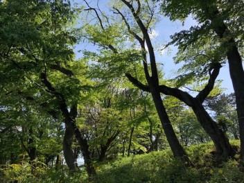 目の保養、心の栄養あります！！