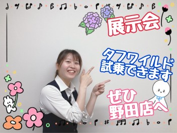 ６月も折り返し