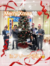 市原にクリスマスツリーが登場！！？