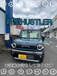 2つの遊べる軽！NEW ハスラー登場！