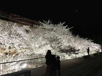 ☆★☆ゴールデンウィークのお知らせ＆能代市役所★☆★