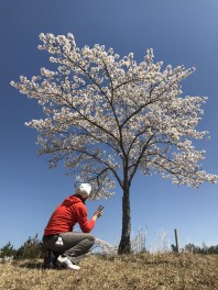 さくら舞い散る中に僕と青空♪♪