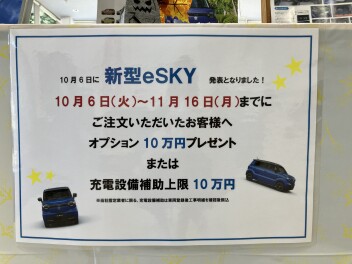 eSKY先行予約特典実施中！