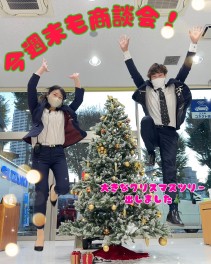 クリスマスツリー！！今週末もぜひご来店ください(*'▽')