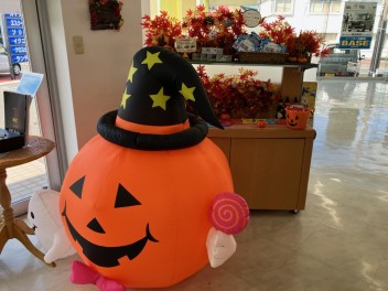 お店がハロウィン仕様になりました☆