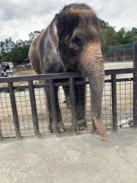 栃木旅行★動物三昧！