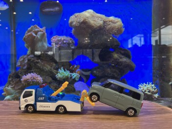 車の救急車！？JAFがあればもしもの時も安心！