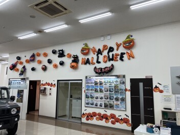 週末展示会のご案内☆彡