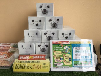 ☆保険診断会実施中☆