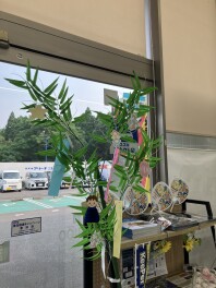 七夕飾り始めました