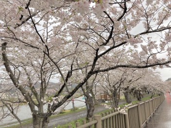 GW休暇のお知らせ