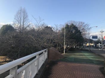 朝が寒くなってきましたね。