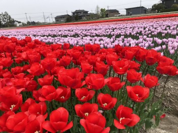 春の大商談会！