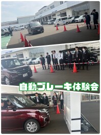 自動ブレーキ体験会