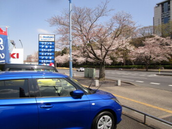 県庁前♪スズキ中古車大商談会☆4月12日（土）～4月13日（日）♪