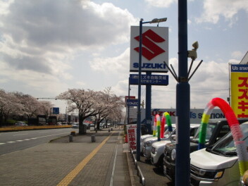 県庁前♪スズキ中古車大商談会☆4月19日（土）～4月20日（日）♪