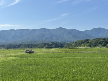 佐渡の絶景はすぐそばに！？