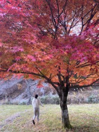 紅葉を見に行ってきました！