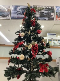 スズキ先行初売り開催中です！！