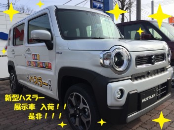 新型ハスラー展示車入荷！！