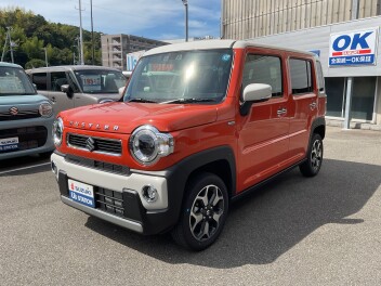 本日より営業いたします！！！