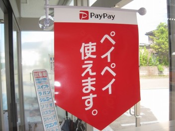 ｐａｙｐａｙはじめました
