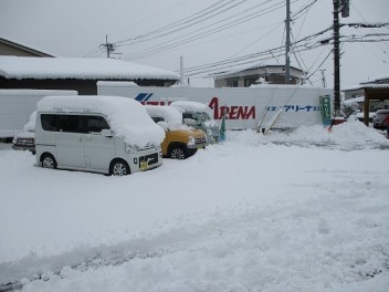 久しぶりの雪！！