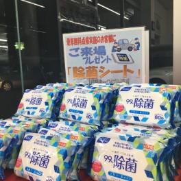 今週が大チャーンスッ！！！！