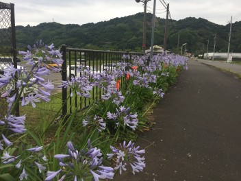 今更ですが・・・。