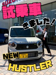 大人気！新型ハスラー試乗車きました★