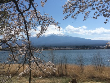 だんだんと暖かくなってきました。