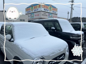 雪ですが