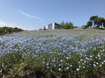 別府に行ってきました＾＾