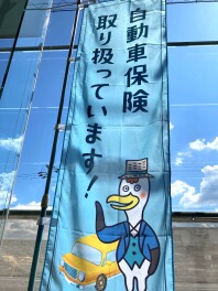 自動車保険もお任せください！
